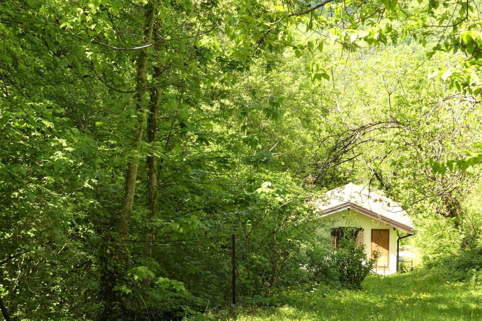 House By The Stream - Happy Rentals Avce ภายนอก รูปภาพ
